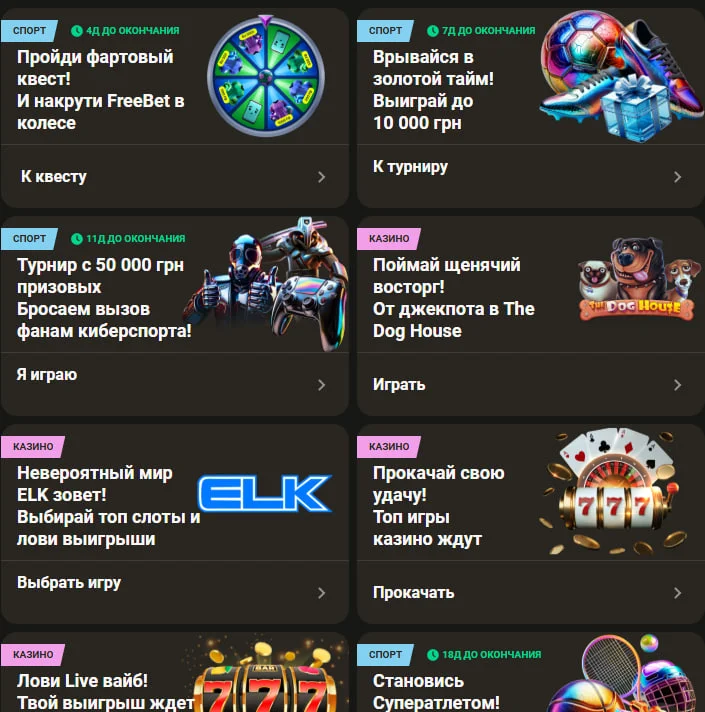 Перука 24 казино